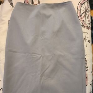 Express Pencil Skirt